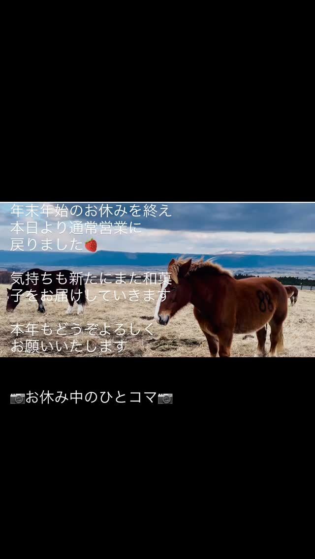 #春風庵 #お休み中のひとコマ #和菓子 #天草 #いちご大福